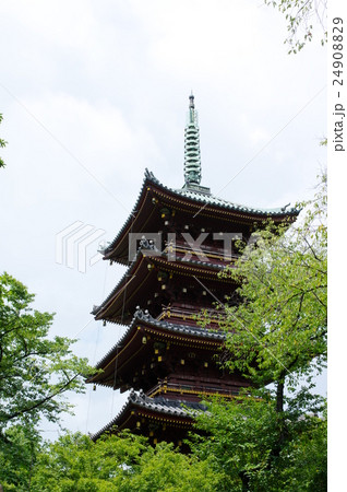 旧寛永寺五重塔 旧寛永寺五重塔 24908829