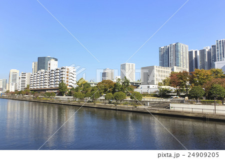 東京・港区　高浜運河と沿緑地  24909205