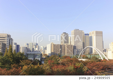 東京・天王洲の街並み　秋　東品川海上公園より  24909505