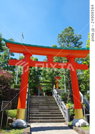 穴八幡宮の鳥居(東京都新宿区) 穴八幡宮の鳥居(東京都新宿区) 24909564