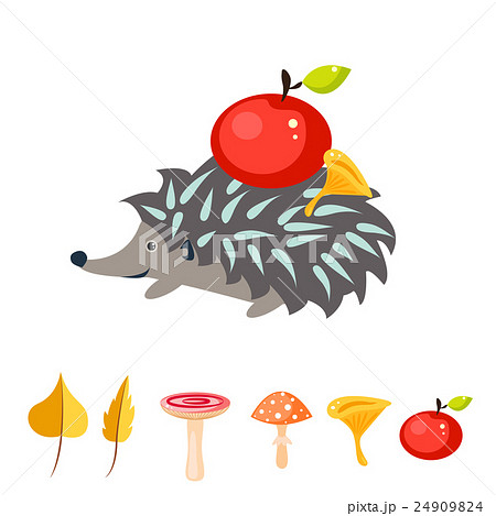 Cartoon hedgehog with apple on his back. Cartoon hedgehog with apple on his back. 24909824
