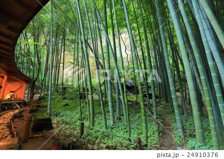 報国寺　竹の庭と茶席 24910376