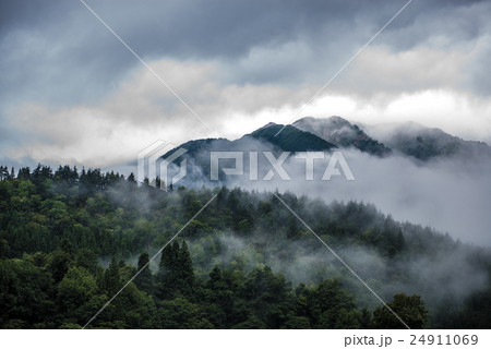 雨あがりの森 24911069