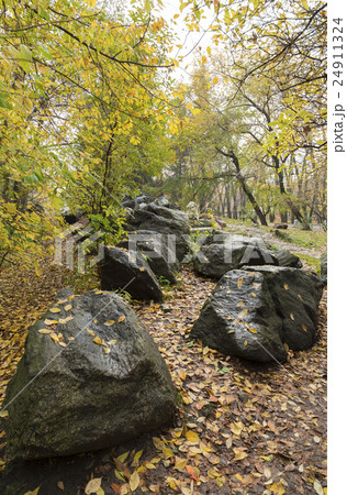 stones on the white background 24911324
