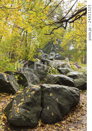 stones on the white background 24911325
