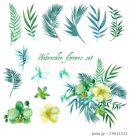 Watercolor floral set for your design. Watercolor floral set for your design. 24911522