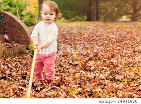 落ち葉かき掃除 24911920