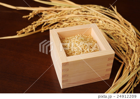 ヒノキの枡に盛られた玄米と稲穂 24912209