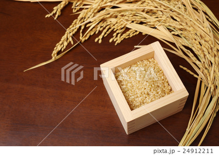 ヒノキの枡に盛られた玄米と稲穂　俯瞰 24912211