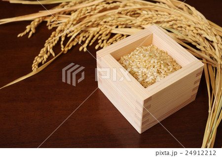 ヒノキの枡に盛られた玄米と稲穂 24912212