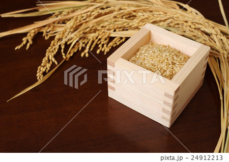 ヒノキの枡に盛られた玄米と稲穂 24912213