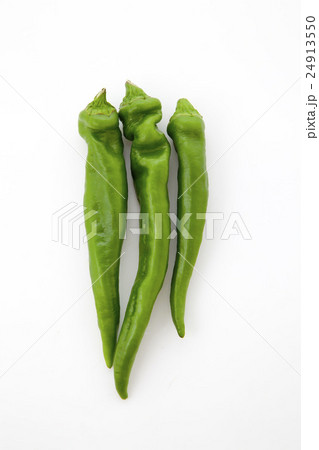 万願寺唐辛子 24913550