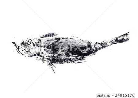 outline ink print on white ground, black fish 24915176