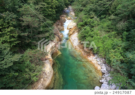夏の横川渓谷 24917087
