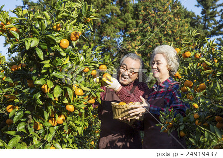 Senior Life style 24919437