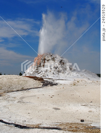 イエローストーン・ホワイトドームガイザー 24919529