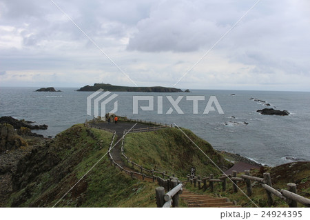 スコトン岬 礼文島 北海道 スコトン岬 礼文島 北海道 24924395