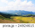曽爾高原 24924615