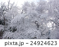 樹氷 24924623