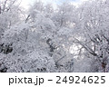 樹氷 24924625