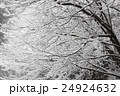 樹氷 24924632