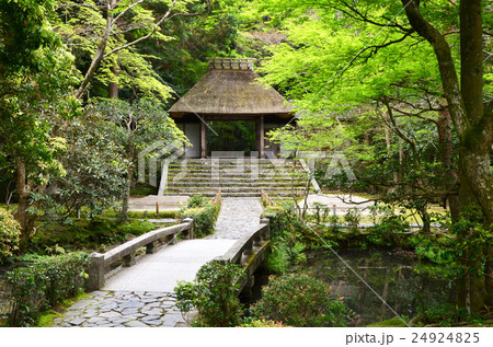 法然院　山門（2016.4） 24924825