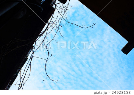 台湾 基隆 屋外 24928158