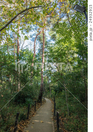 駒場野公園 駒場野公園 24932915