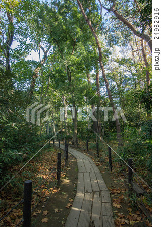 駒場野公園 駒場野公園 24932916