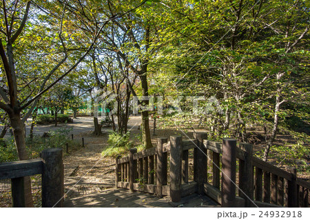 駒場野公園 24932918