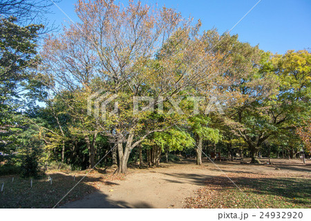 駒場野公園 24932920