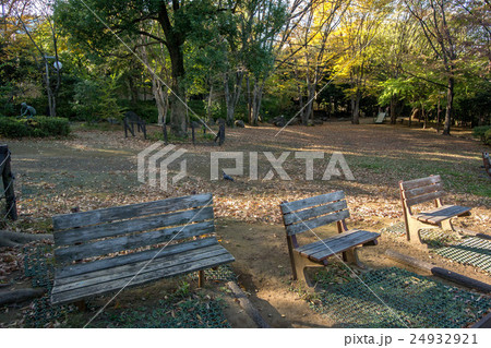 駒場野公園 24932921