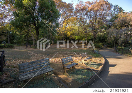 駒場野公園 24932922