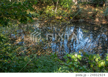駒場野公園 駒場野公園 24932924