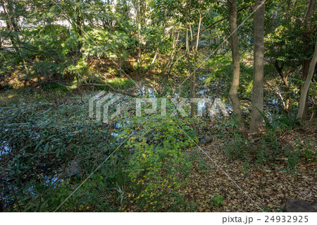 駒場野公園 24932925