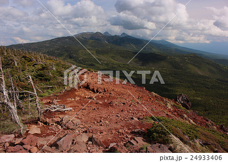 茶臼山からの八ヶ岳連峰 茶臼山からの八ヶ岳連峰 24933406