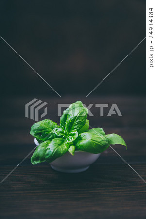 Fresh basil in a bowl 24934384