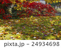紅葉の庭 24934698
