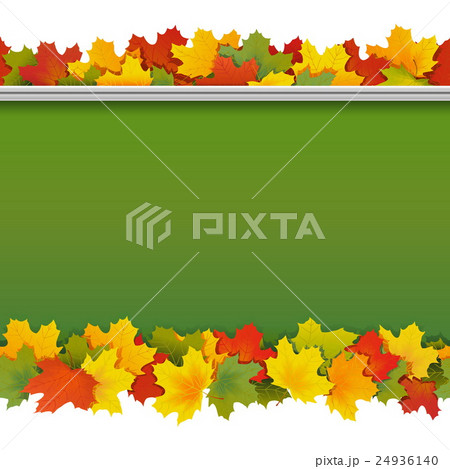 Vector School Blackboard with Maple Leaves Vector School Blackboard with Maple Leaves 24936140