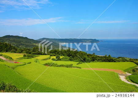 東後畑棚田 24936144
