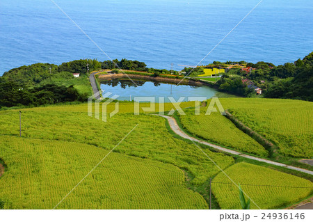 東後畑棚田 東後畑棚田 24936146