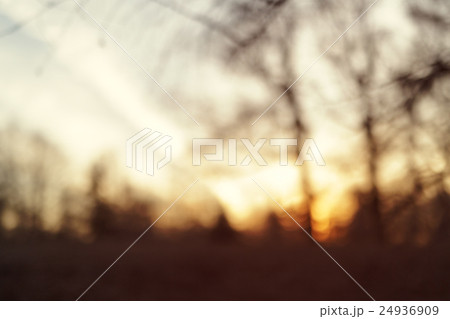blurred background with park in early spring 24936909