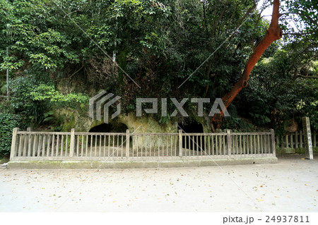 西郷洞窟 全景 西郷洞窟 全景 24937811