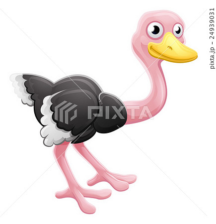 Ostrich Animal Cartoon Character 24939031