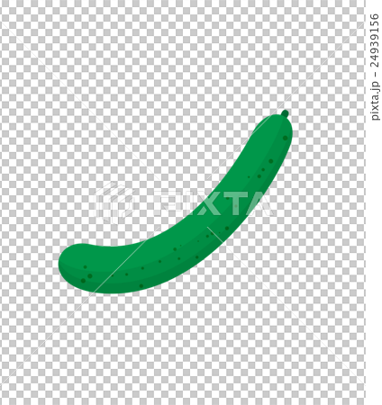 きゅうり 24939156