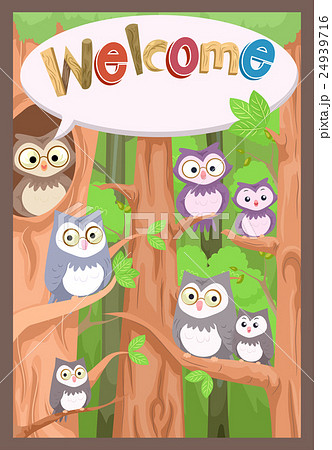 Owl Welcome Bulletin 24939716