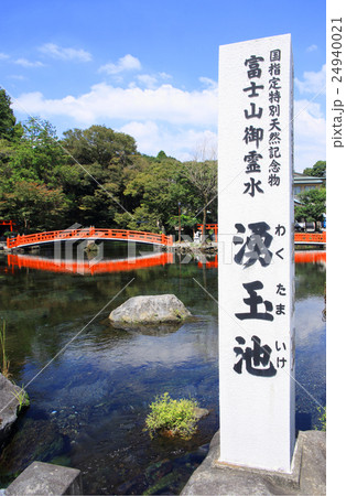富士山本宮浅間大社 湧玉池と夏の青空 富士山本宮浅間大社 湧玉池と夏の青空 24940021