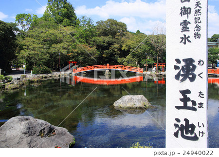富士山本宮浅間大社　湧玉池の澄んだ水 24940022