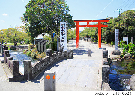 鳥居　富士　本宮　石橋 24940024