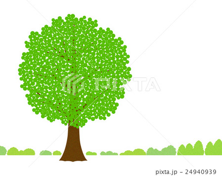 一本の大木のイラスト素材